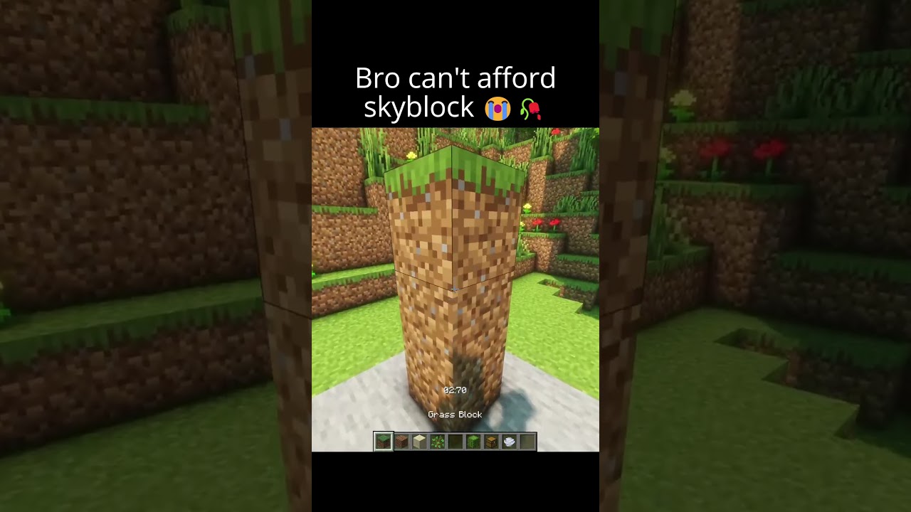 Bro can't afford skyblock 🥀