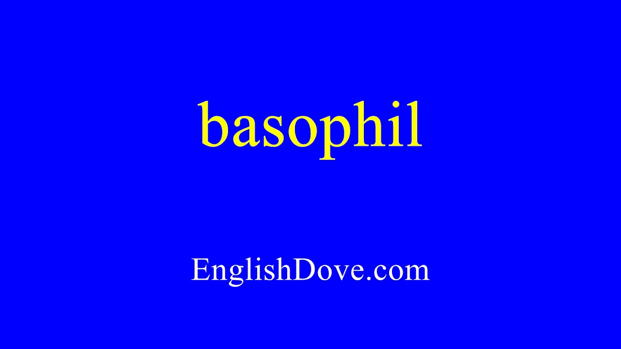 How to pronounce basophil in American English.