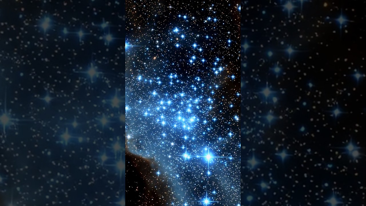 A "Star Factory" On Overdrive (The Phoenix Cluster)