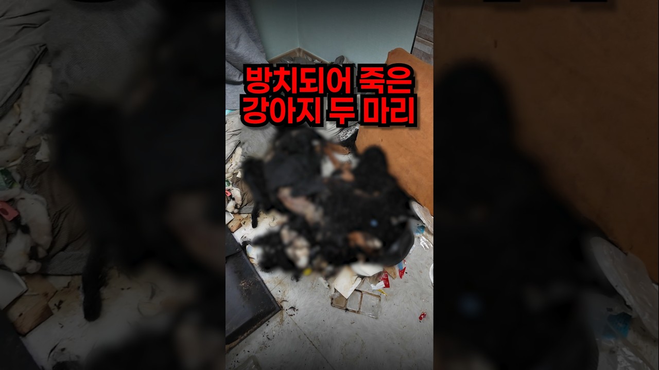 방치