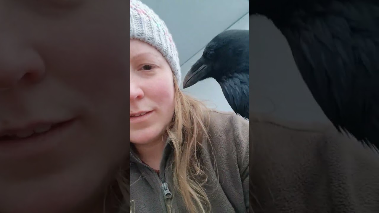 Сюрприз для Фейбл и благодарность от нас 💚