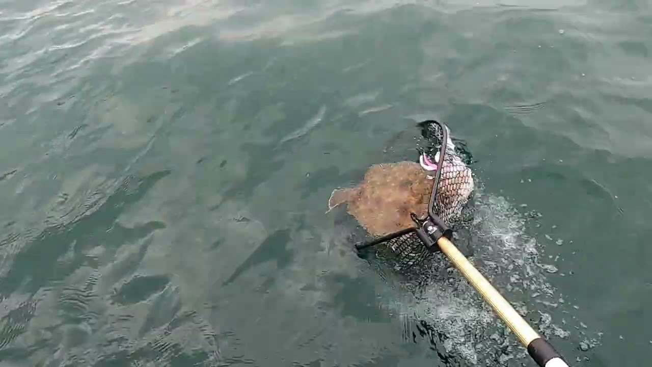 Fishing Gear Review - All My Fluke (Flounder) Rods and Reels and Why I ONLY Use 10 Pound Braid!