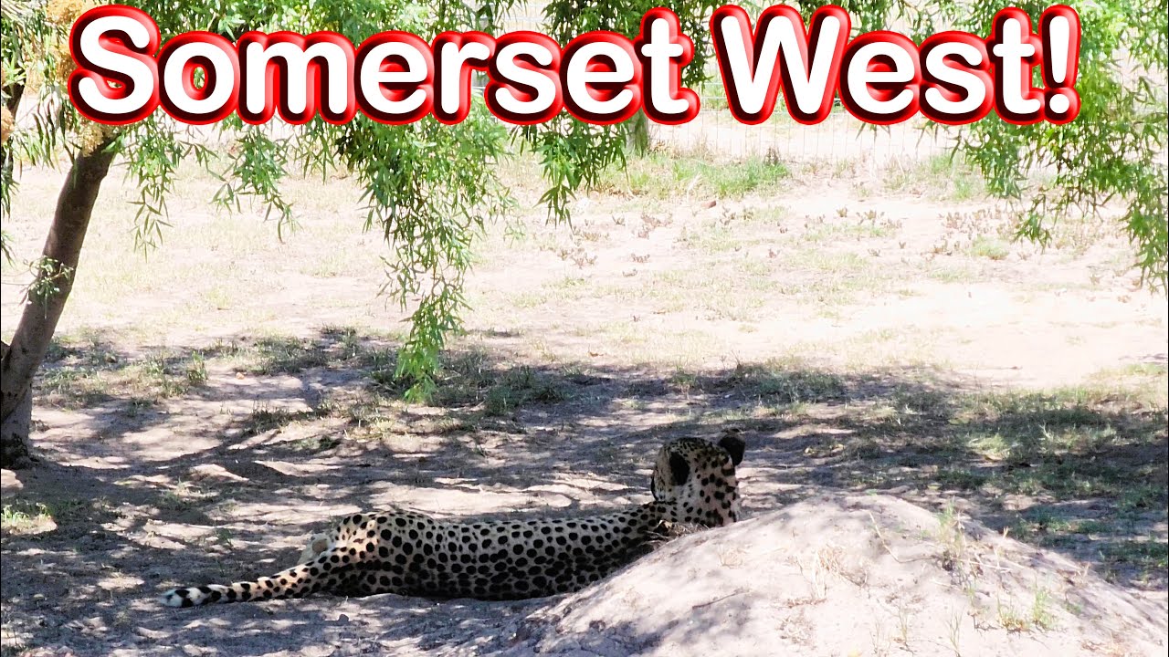 Somerset West – Taking a Drive to a Few of our Favourite Places! Ep 256
