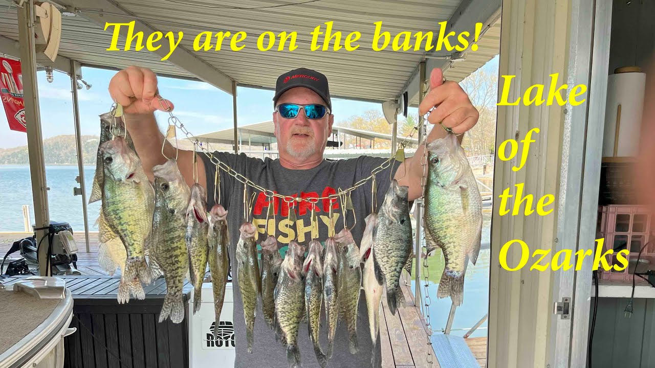 Slamming crappie on Lake of the Ozarks