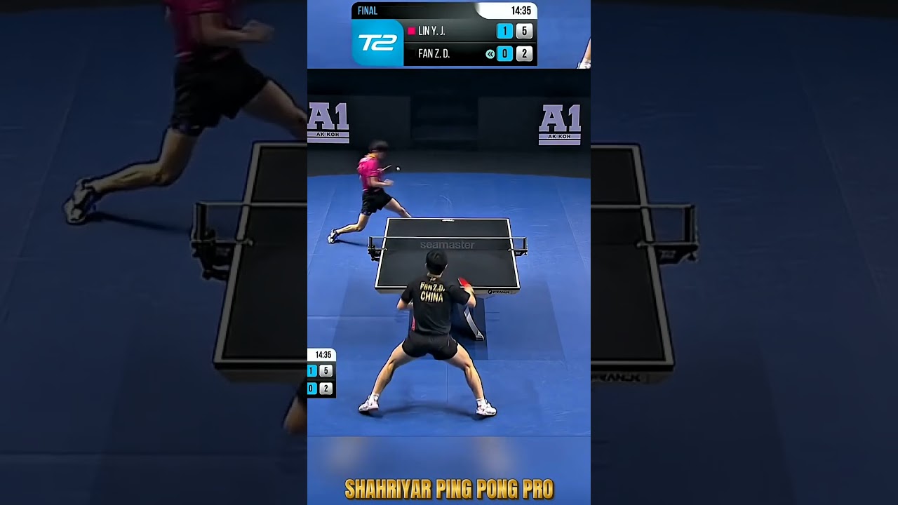 LIN Y.J. VS FAN Z.D. 👀😳 #shorts #viralshorts #tabletennis #pingpong #wtt #ittf #fanzhendong