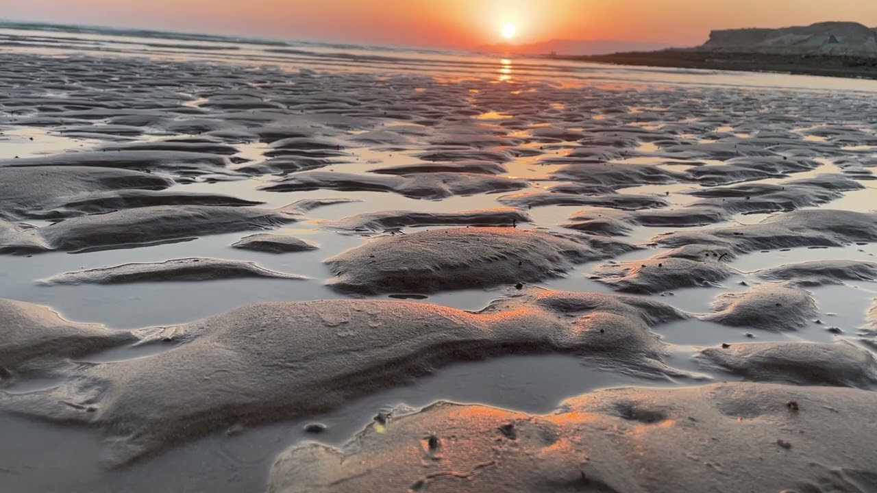 Peaceful Seaside Sunset 🌅 | Ocean Waves & Gentle Snail Movement