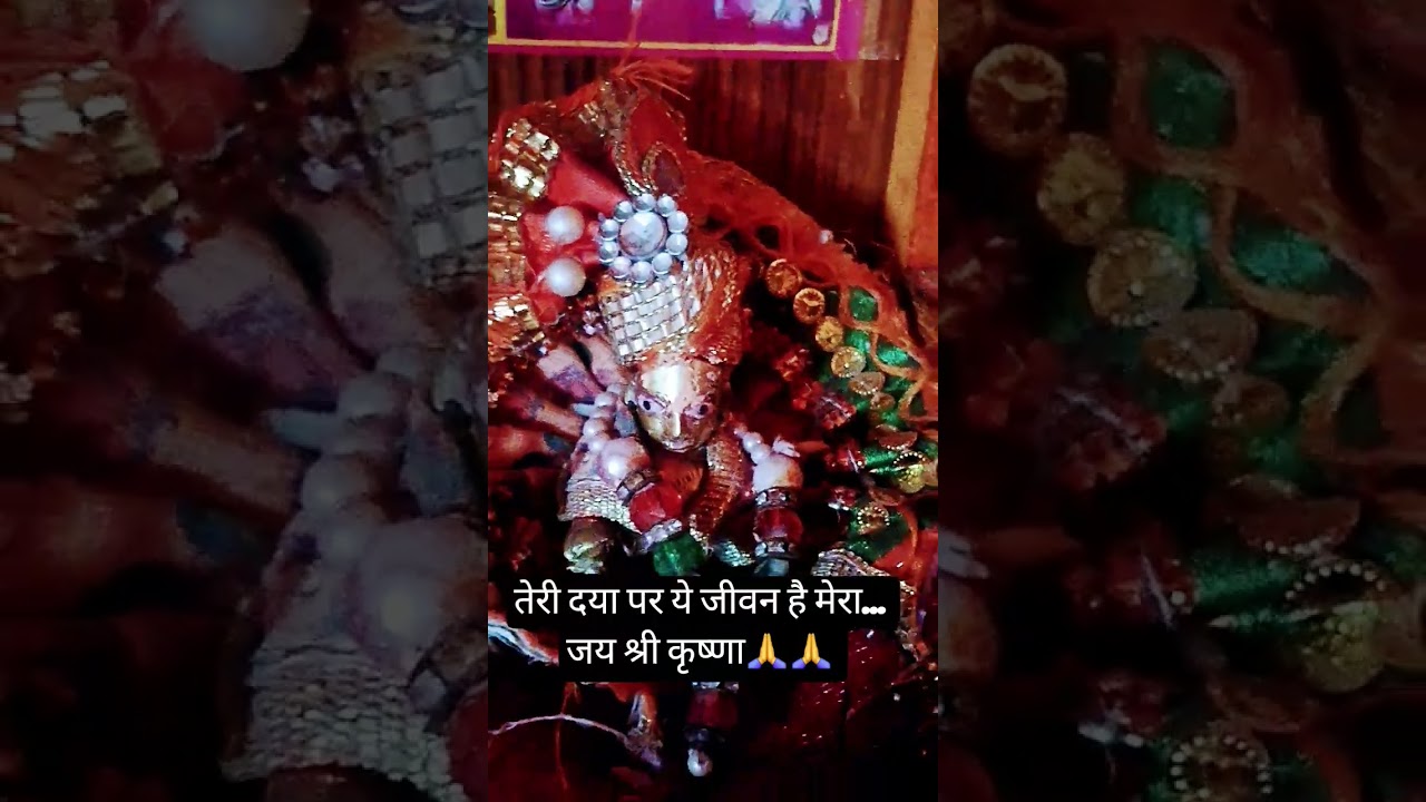 Teri dya par ye jeevan hai mera# Jai shree krishna #trending song #viral video #youtube shorts #