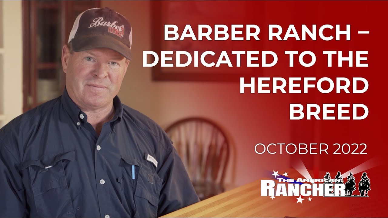 Barber Ranch – посвящённый породе герефордов | The American Rancher