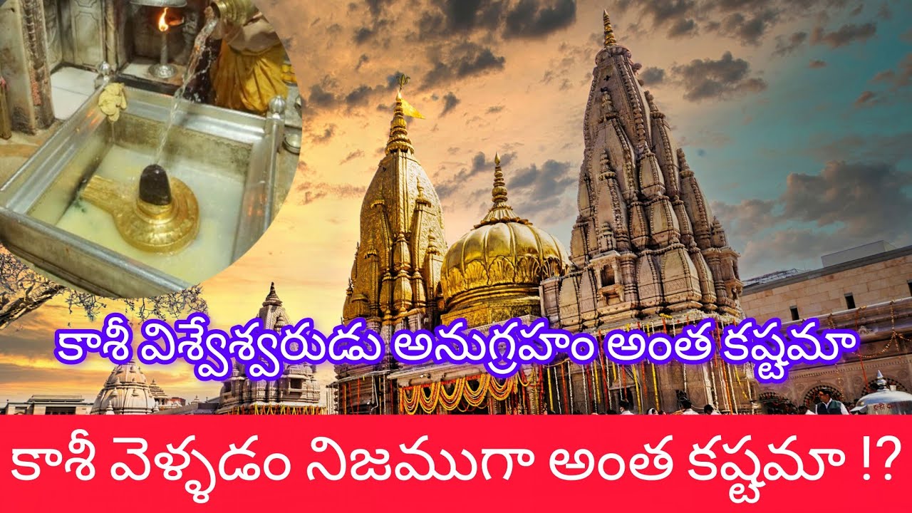 మనం అనుకుంటే కాదు ఆ శివయ్య రమ్మంటేనే కాశీ వెళ్లగలము అనేది అక్షర సత్యం|Shivaratri kaasitrip explained