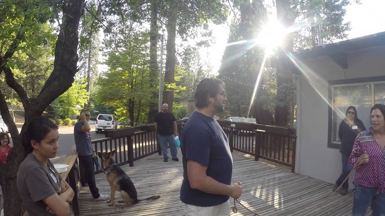 Slip lead Instructions