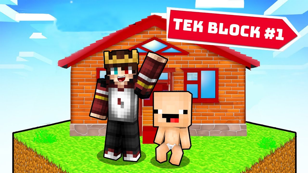SAKARBEBEK VS TEK BLOCK #1 😱 - Minecraft