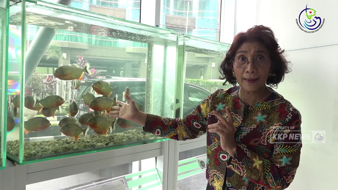 [VLOG] Jalan-Jalan Melihat Galeri Karantina Ikan Bersama Menteri Susi