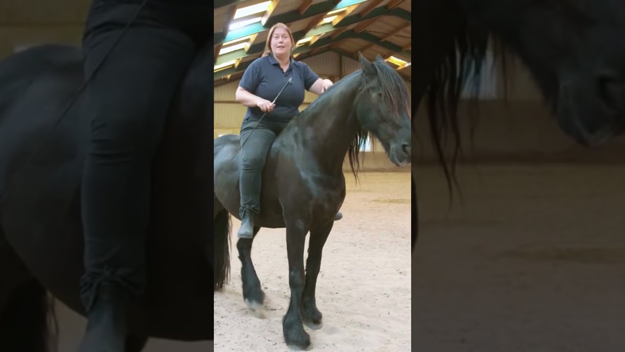 Jauke heeft een voorkeur voor een bepaalde oefening.. #paard #pony #vrijheidsdressuur