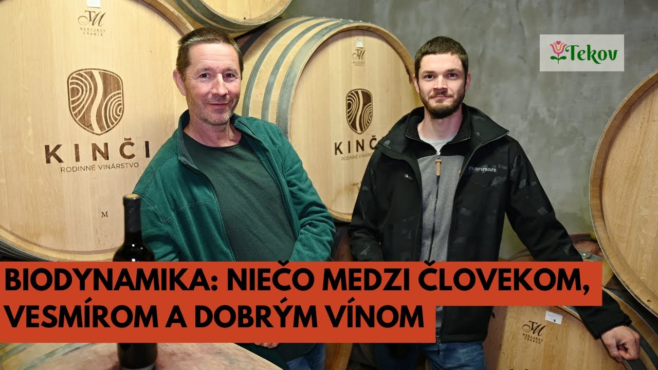 Vinárstvo Kinči z Rybníka | Vinári z levického terroiru