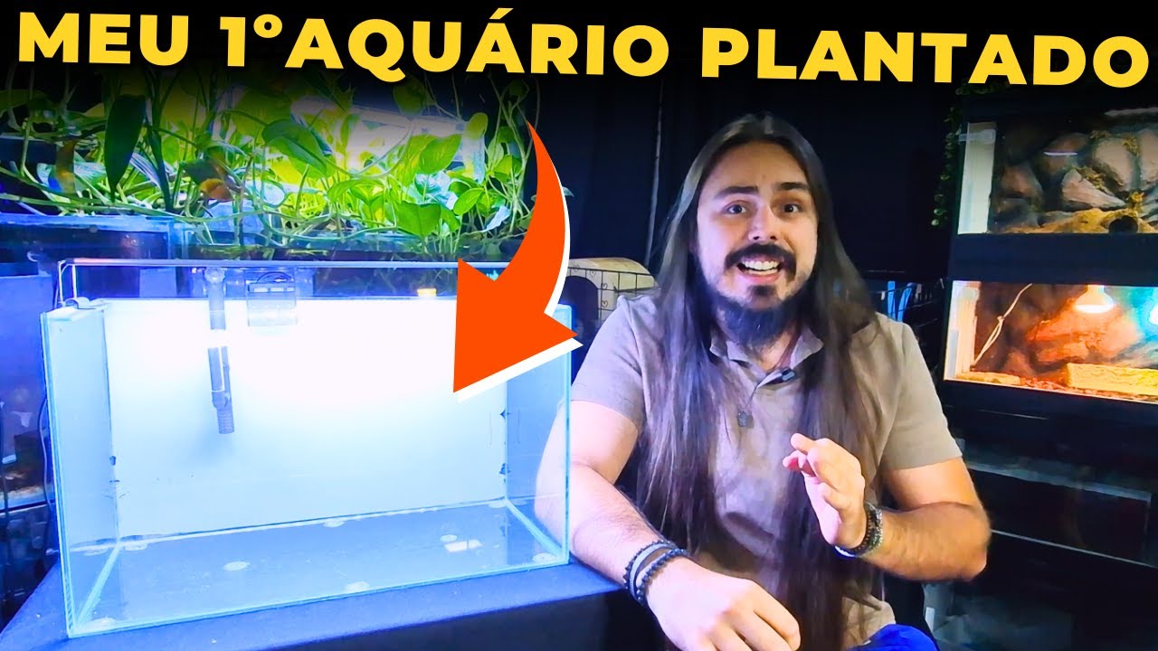🔴MEU PRIMEIRO AQUÁRIO PLANTADO: EPISÓDIO 1 - ITENS USADOS |Mr. Betta|