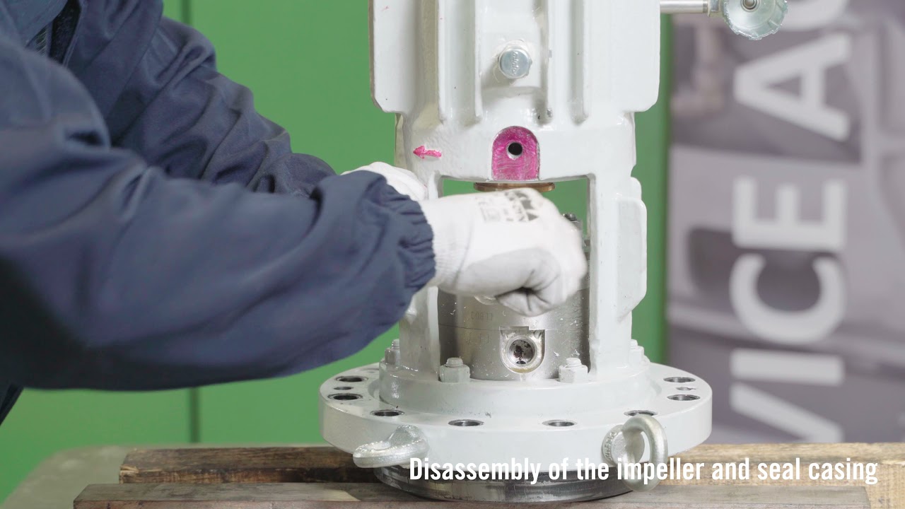 Gabbioneta Pumps® - R-Type Mechanical Seal Disassembly