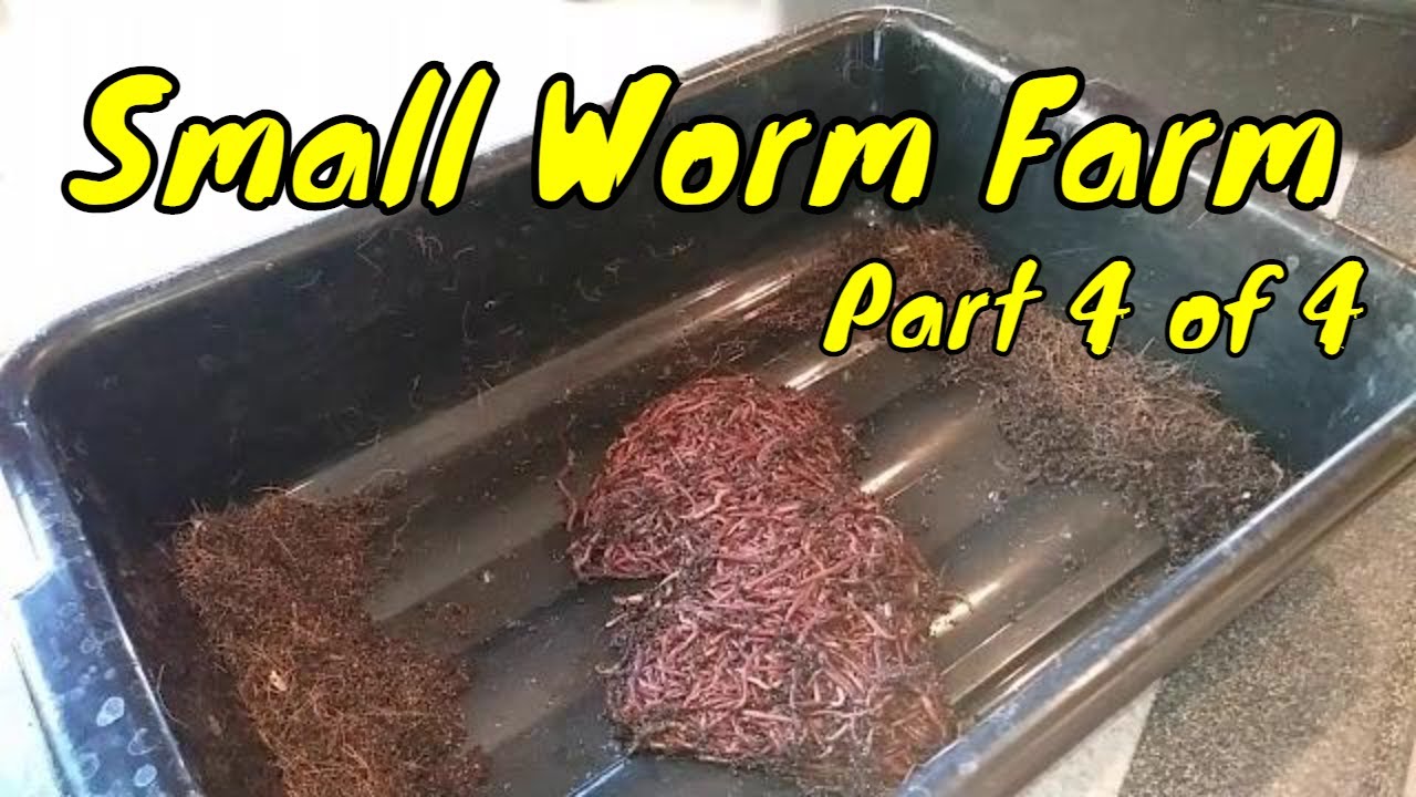 Why This Worm Farm Produces Endless Castings