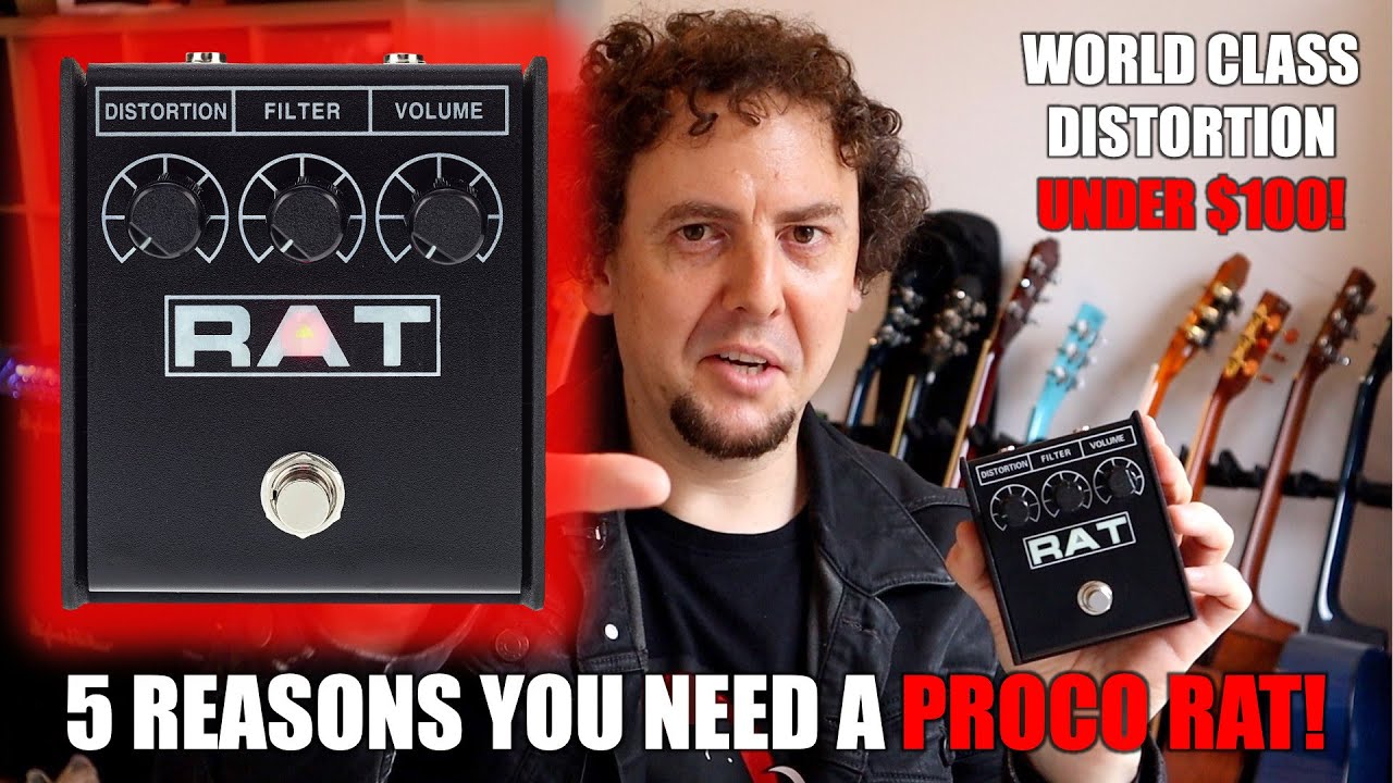 ProCo Rat: the distortion pedal on every top player&rsquo;s board since 1978 | 5 reasons you need one NOW!