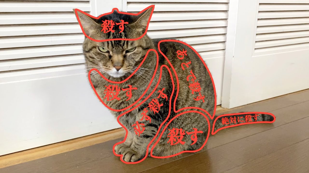 うちの猫のお触りマップ一覧表がこちらです...