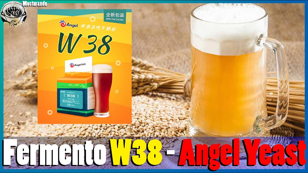 Fermento W38 - A solu&ccedil;&atilde;o da chinesa Angel Yeast para cervejas de trigo!!