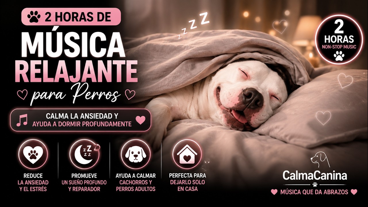 2 Horas de Música Relajante para Perros 🐶💤 | Calma la Ansiedad y Ayuda a Dormir Profundamente