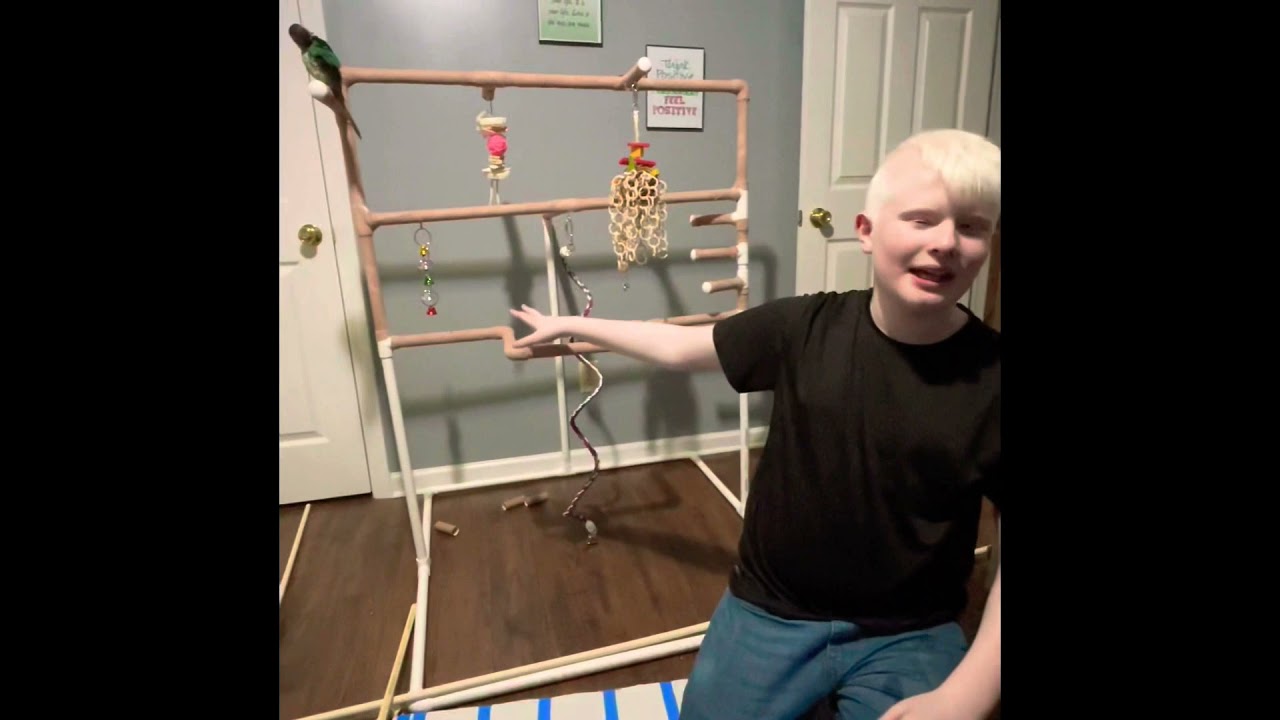 DIY Bird Jungle gym, PVC pipe play stand for Birds,