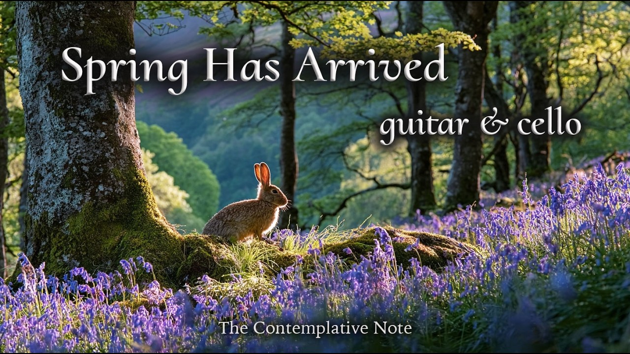 Spring Has Arrived in Gentle Light 🌿✨ Relaxing Guitar & Cello for Peaceful Mornings