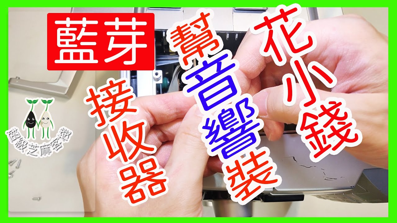 花小錢【幫音響外接藍芽接收器】增加接頭/增加音響功能/拆音響需要注意事項/羅傑  #超級芝麻客棧