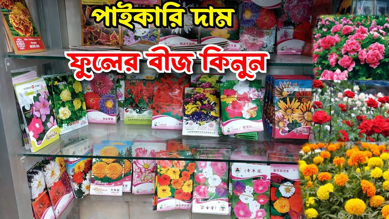 ফুল বীজের মুল্য 🌻Flower seeds price  vikrampur seeds company
