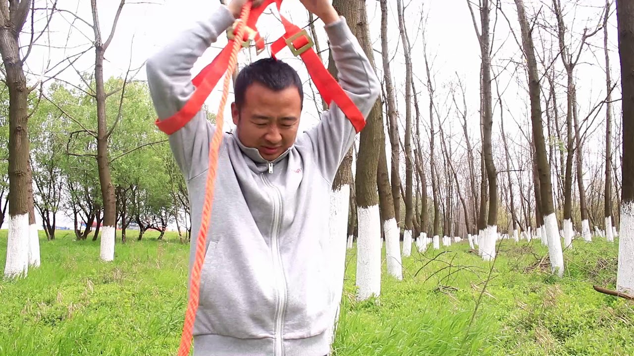 小伙买来一个爬树神器，准备靠它上树发家致富