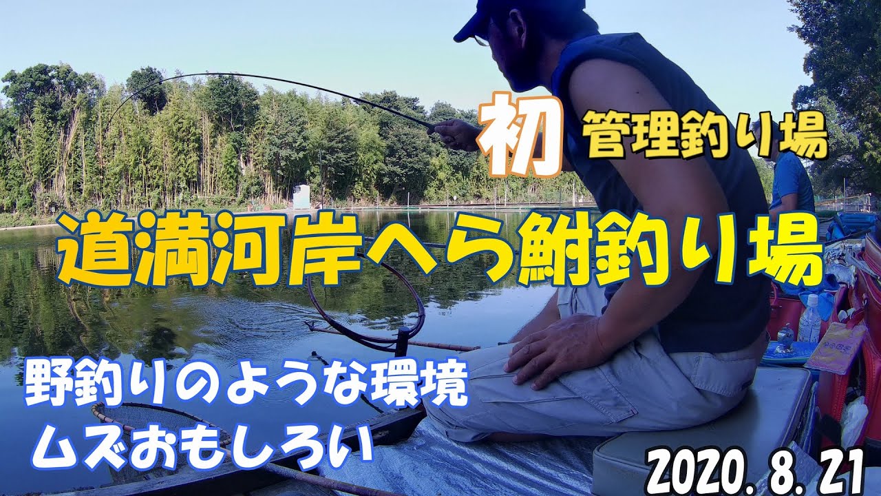 【初！管理釣り場】道満河岸へら鮒釣り場　2020.8.21　ヘラブナ釣り
