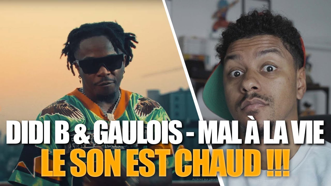 Je réagis à Didi B & Gaulois - Mal à la vie | REACTION & AVIS