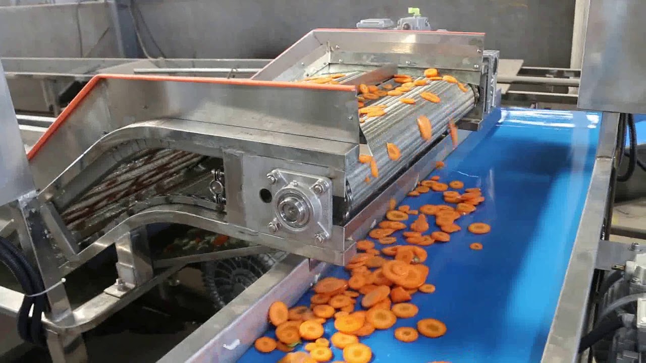 carrot processing  line
