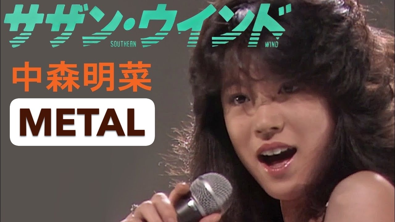 サザン・ウインド　METAL