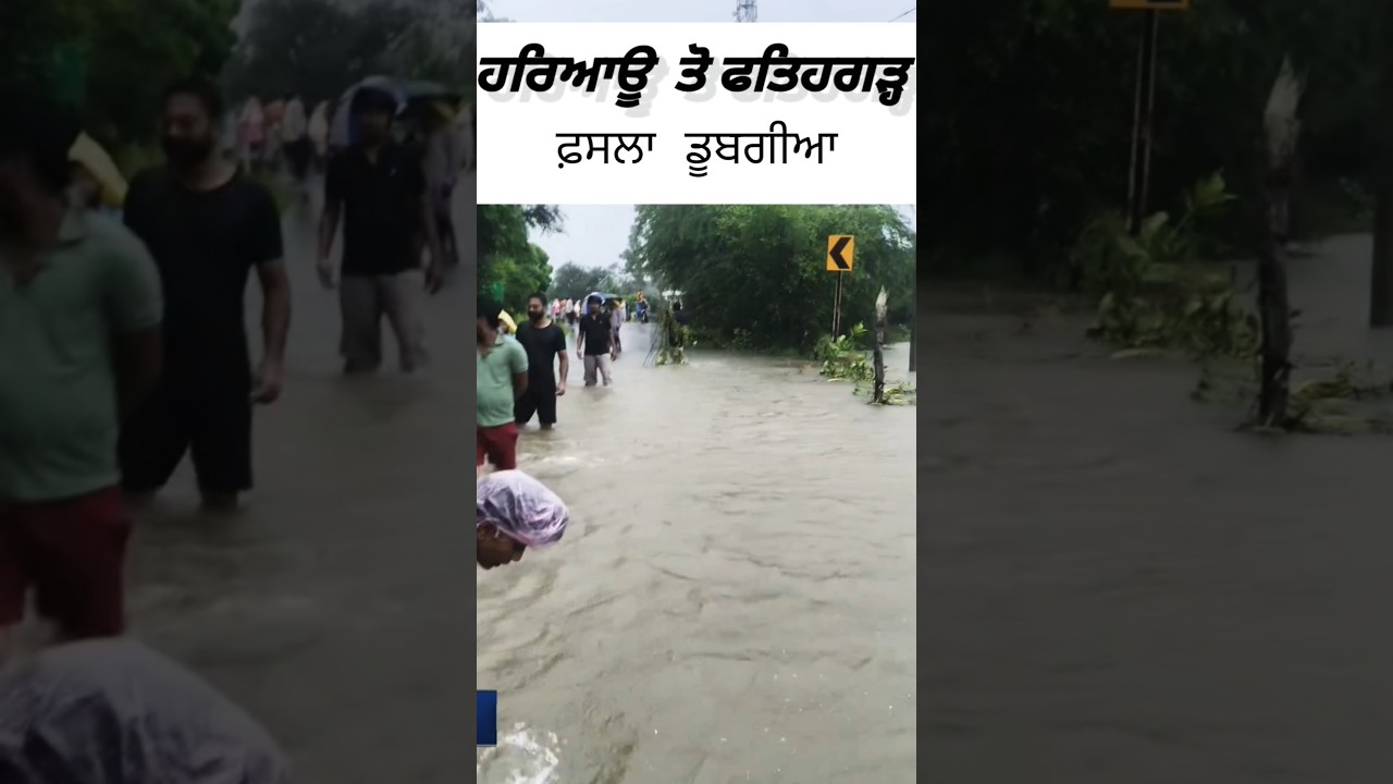 Haryau to Fathegarh road (sangrur) 🌧️ #reels #shorts #ytshorts