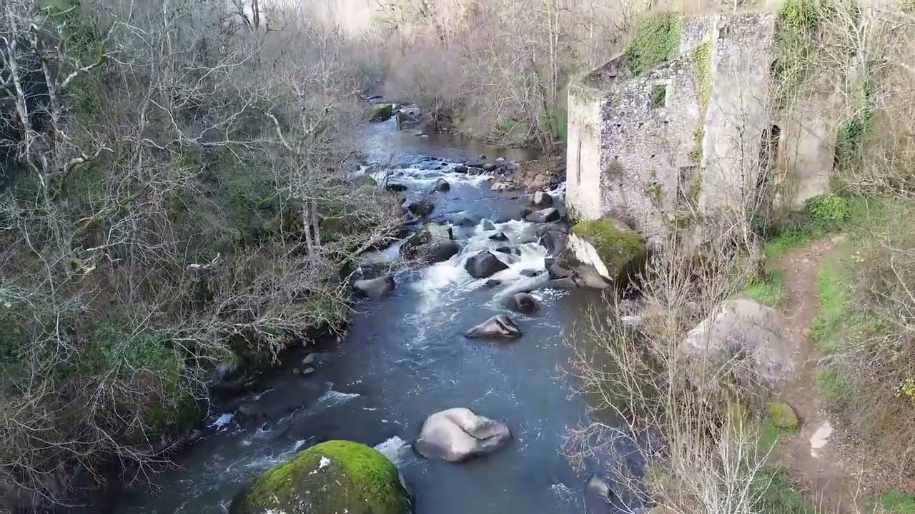 La Vallée de L'Yon : Site De Piquet 85