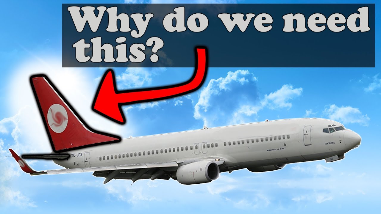 How do the 