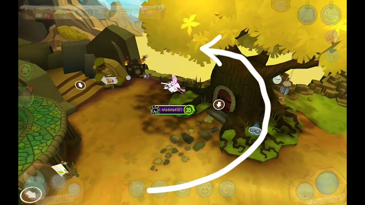 Что это за места?  Animal Jam!