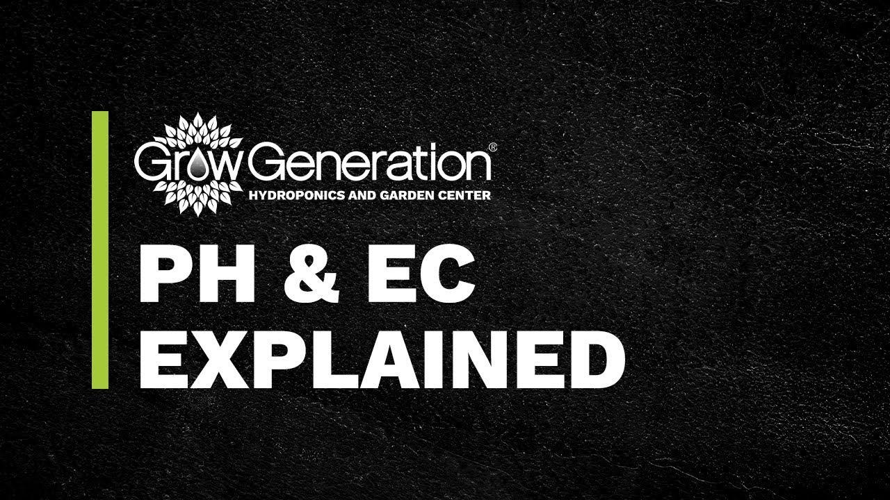 How to Measure and Adjust pH, EC, and Water Quality