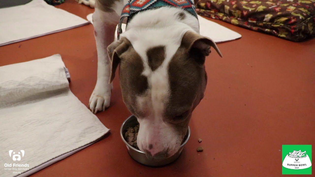 Supper Bowl 2021 - Feast of a Fundraiser