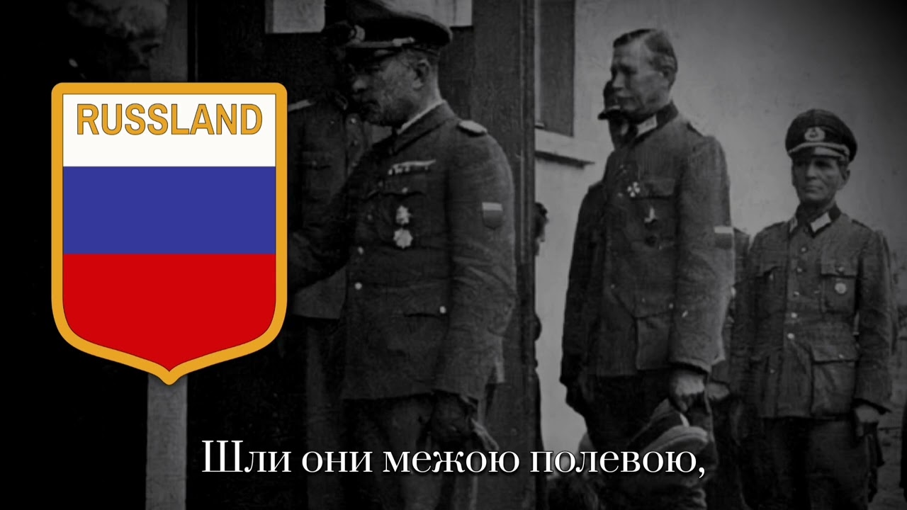 Выходили к Лесу Добровольцы — Песня РОА, и Других Коллаборационистов и Предателей.