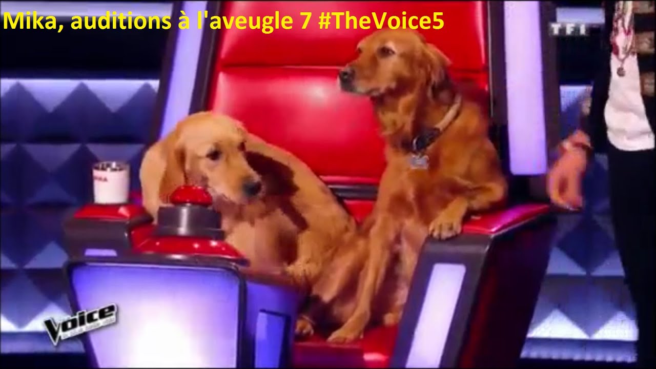 Mika, auditions à l'aveugle 7 