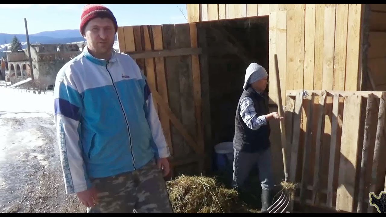Bosanac i Filipinka rame uz rame u štali. Bosanke neće na selo a ona je izuzetno vrijedna