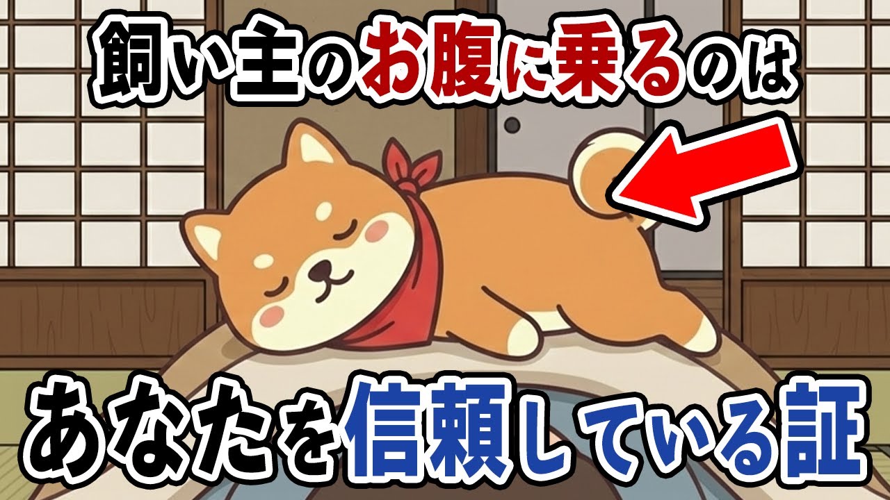 なぜ犬は飼い主の上で寝るの？理由は支配欲ではなく深い信頼関係でした🐶🐾