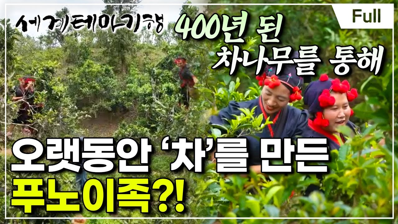 [Full] 세계테마기행 - 라오스 소수민족 기행- 구름 위의 사람들, 퐁살리