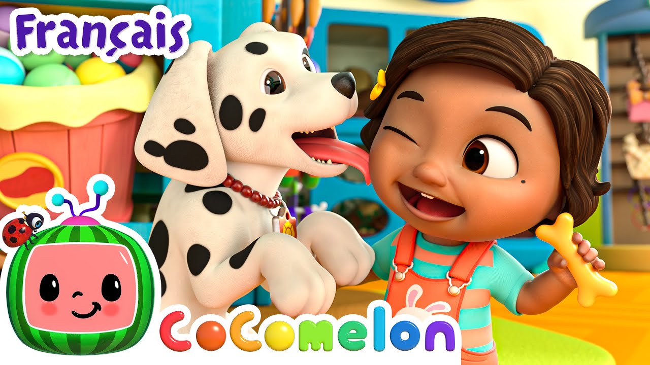 La chanson des ouaf ouaf | &Eacute;pisode Complet | CoComelon en Fran&ccedil;ais | Chansons pour b&eacute;b&eacute;s