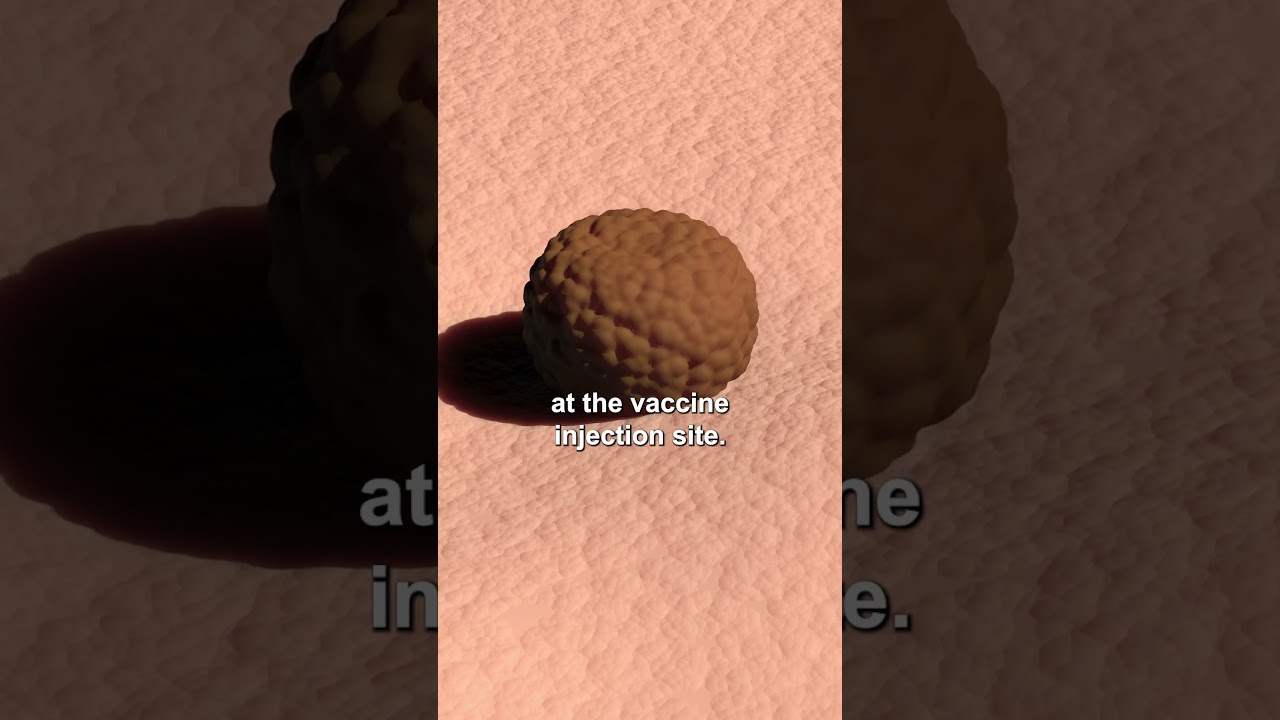 Ask for a T-Free Rabies Vaccine | Dr Judy U