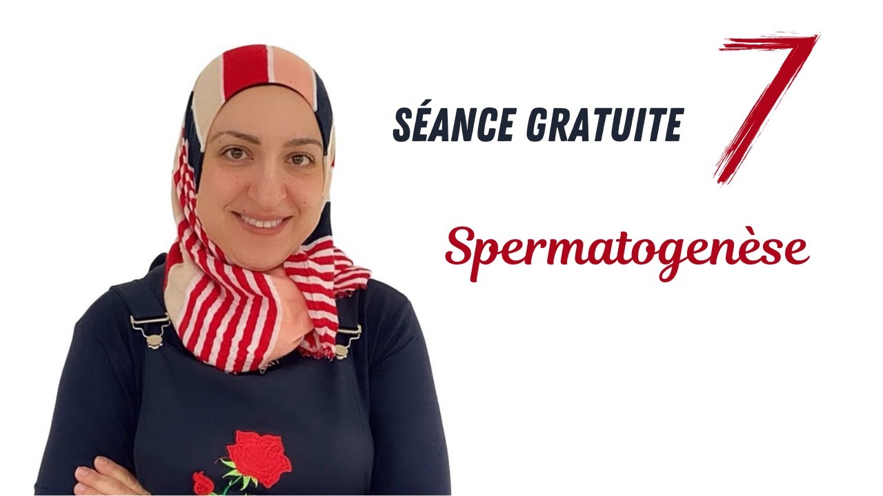 Spermatogenèse (Séance 7 gratuite)