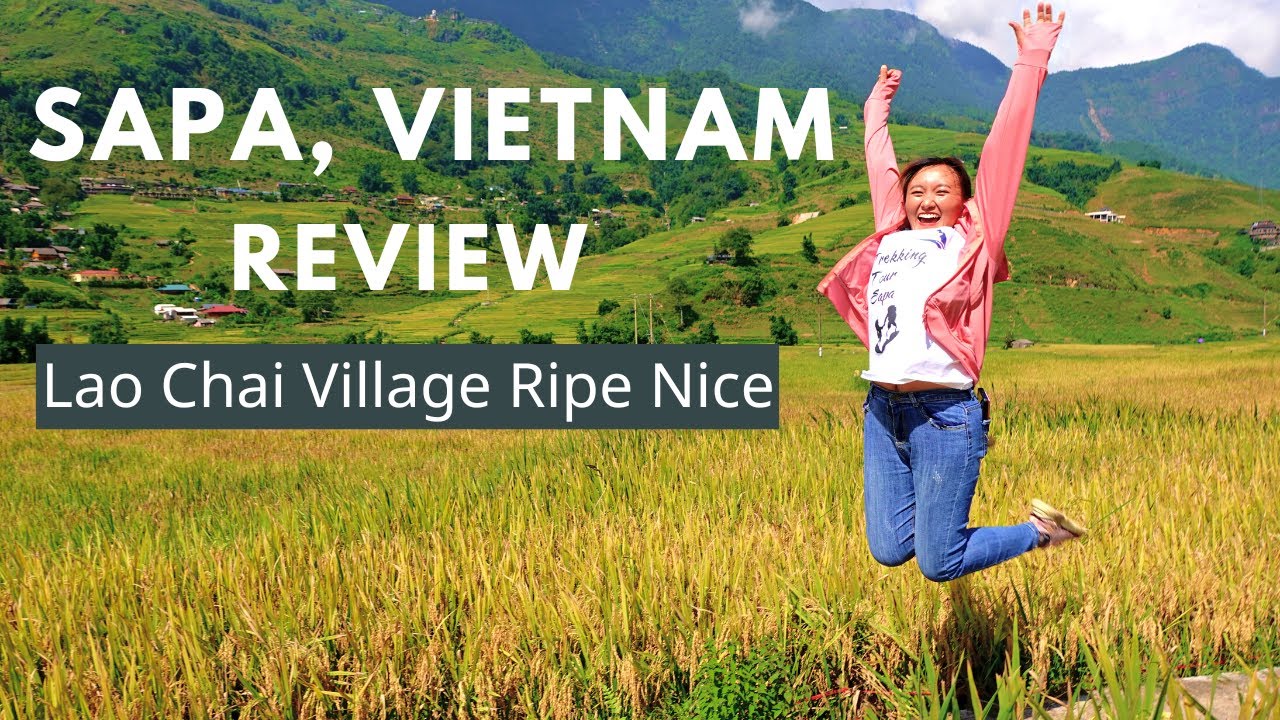 Sapa, Vietnam: Lao Chai Village Experience - Ripe Rice Season and Black Hmong Custume