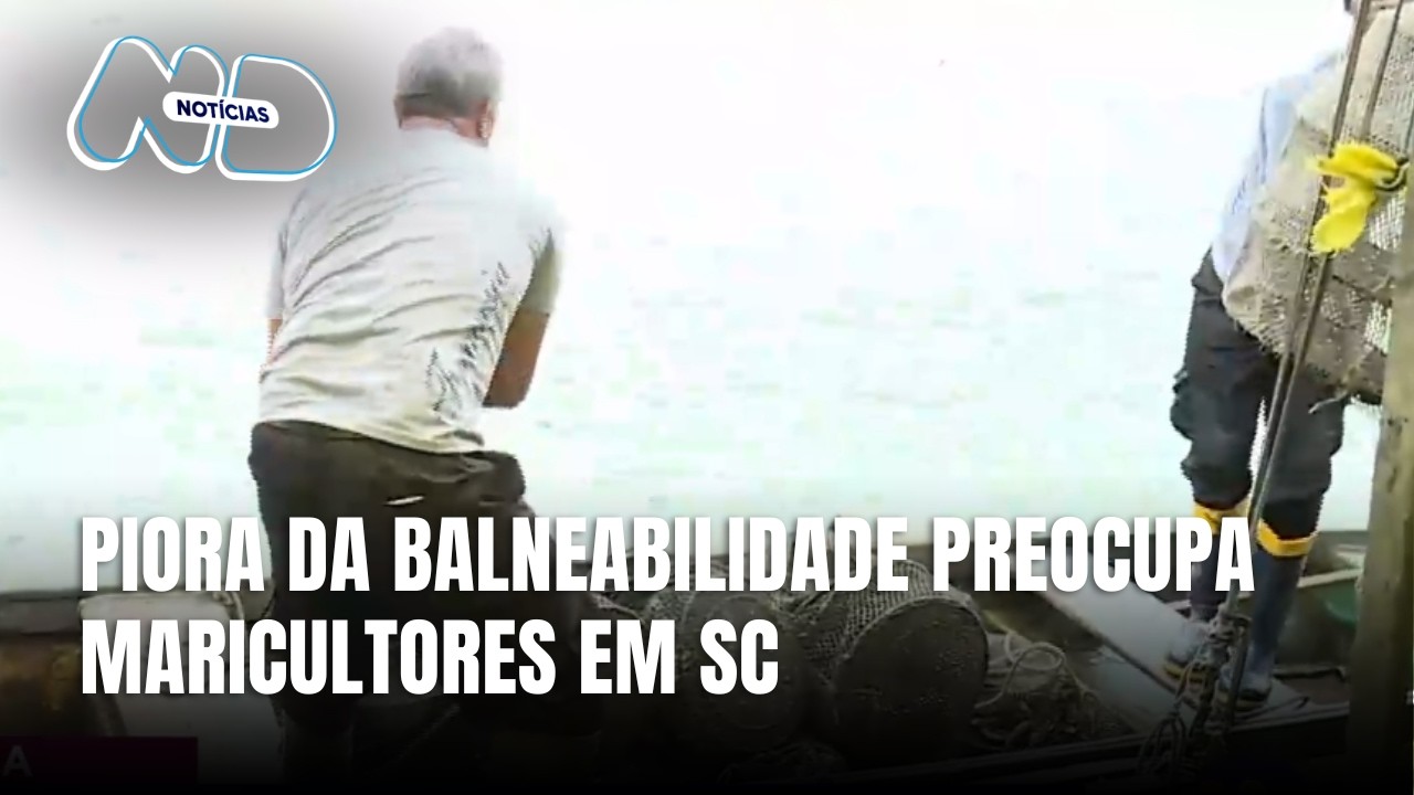 Maricultores protocola ação contra CASAN por água poluída em SC